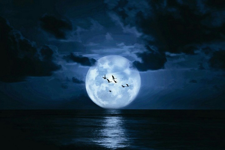 nice and beautiful moment