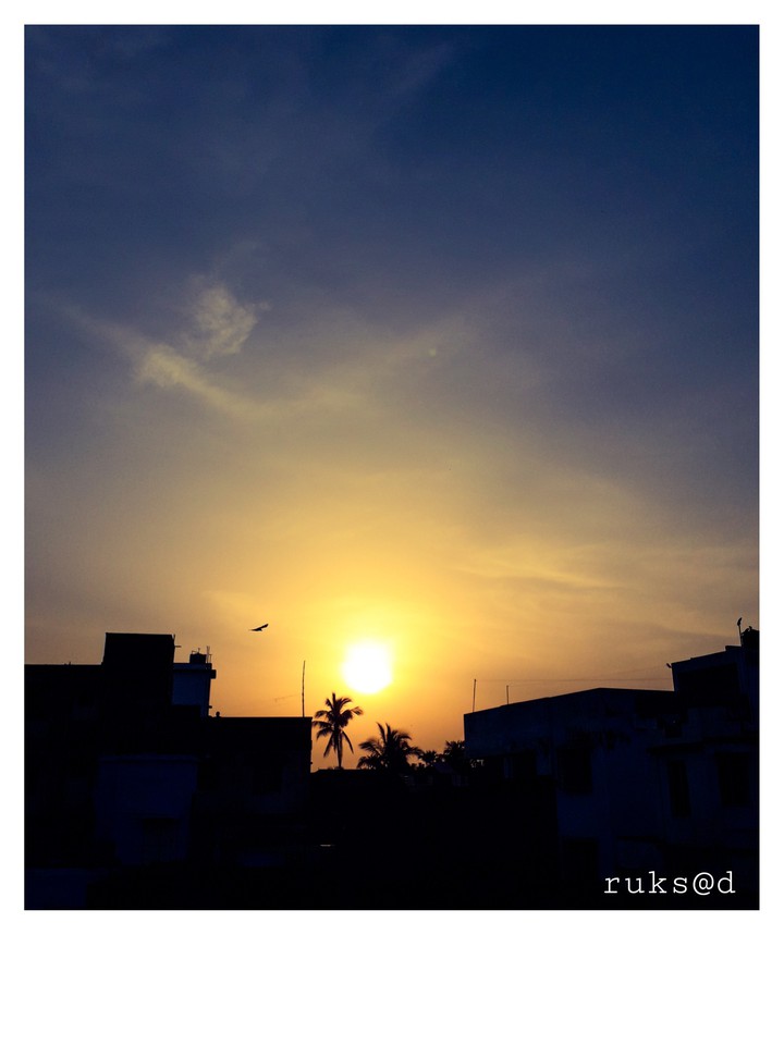 sunset