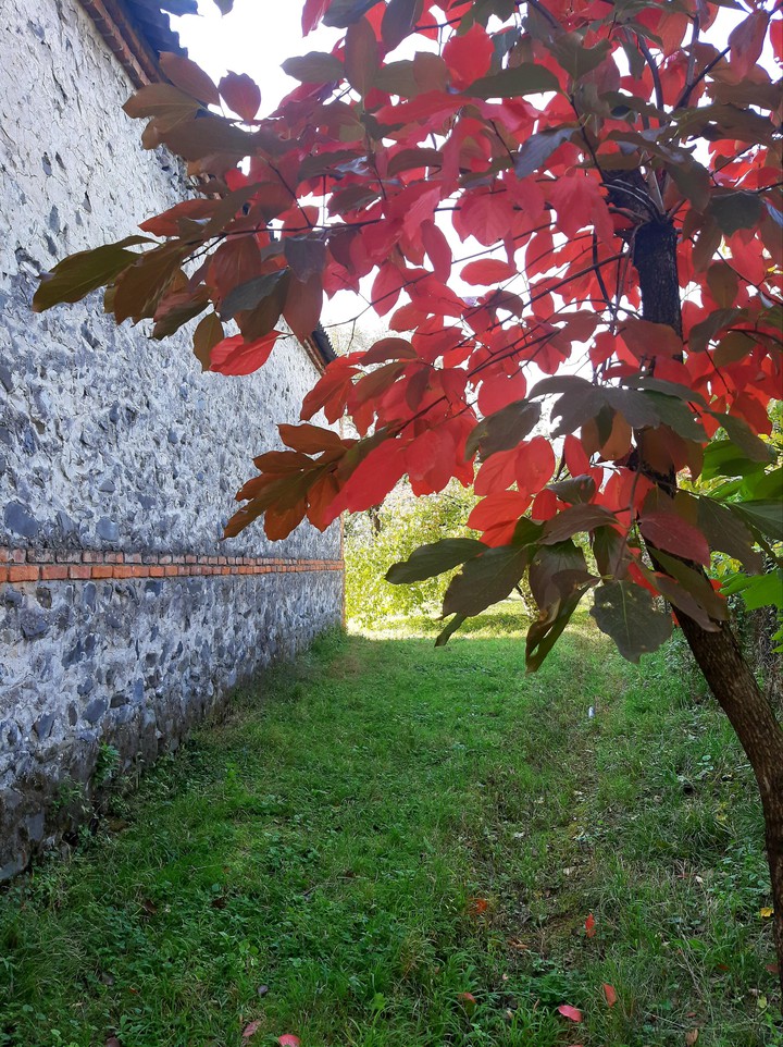 autumn