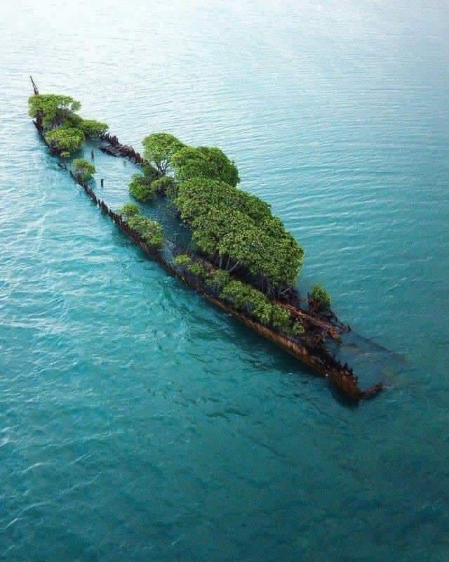 .