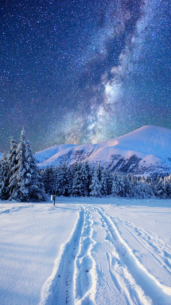 winter