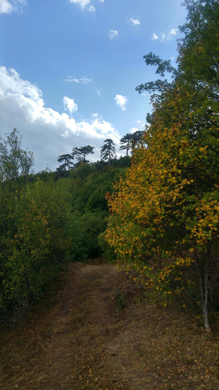 Autumn of the art