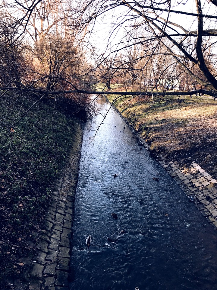 River Bank