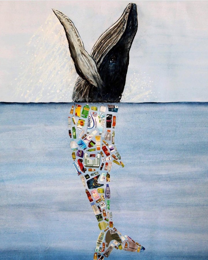 plastic whale