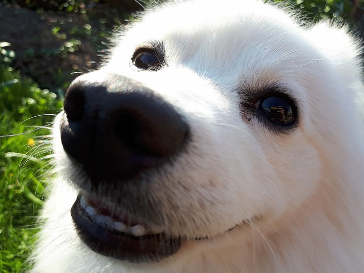 Smile