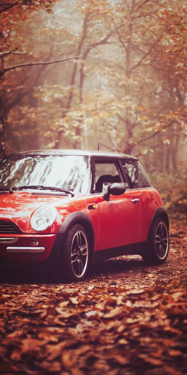 wonder car