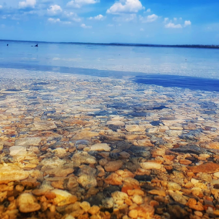 Кривой Рог