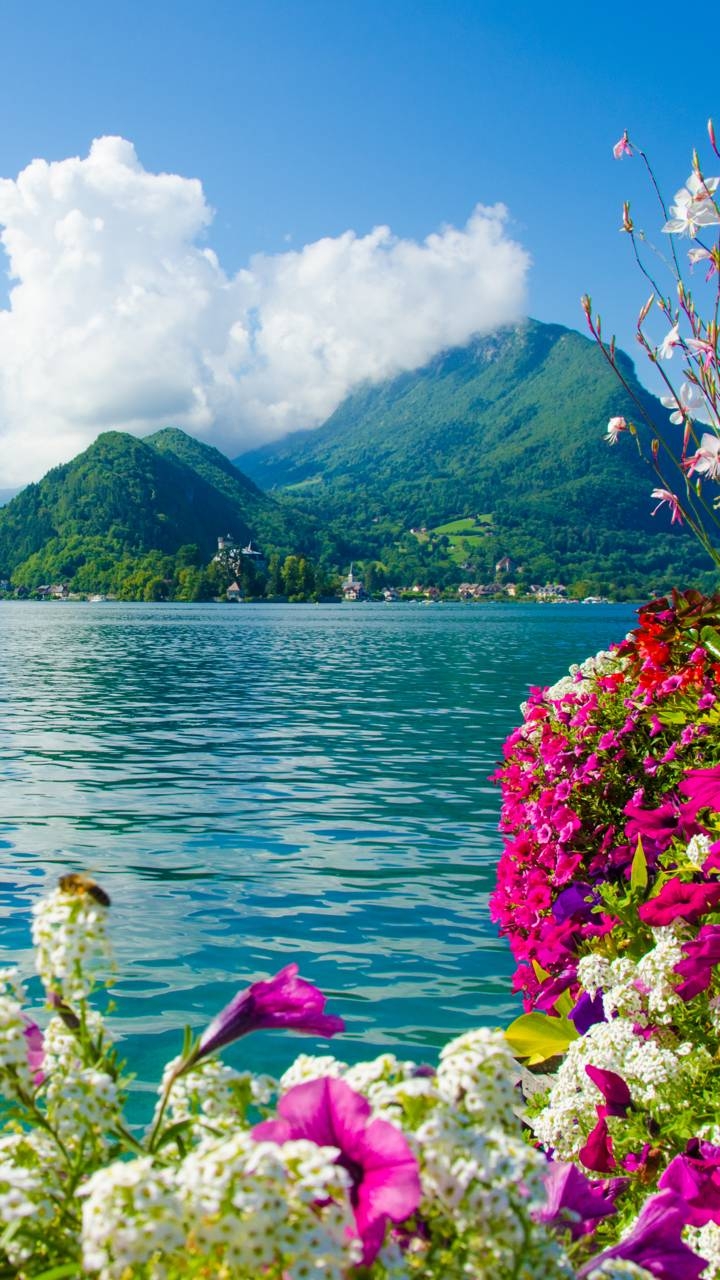 nature