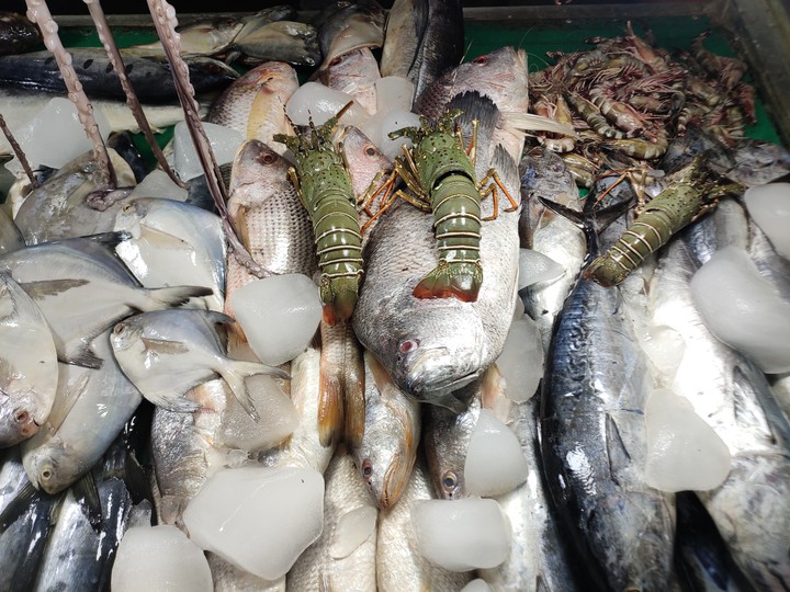 Fish