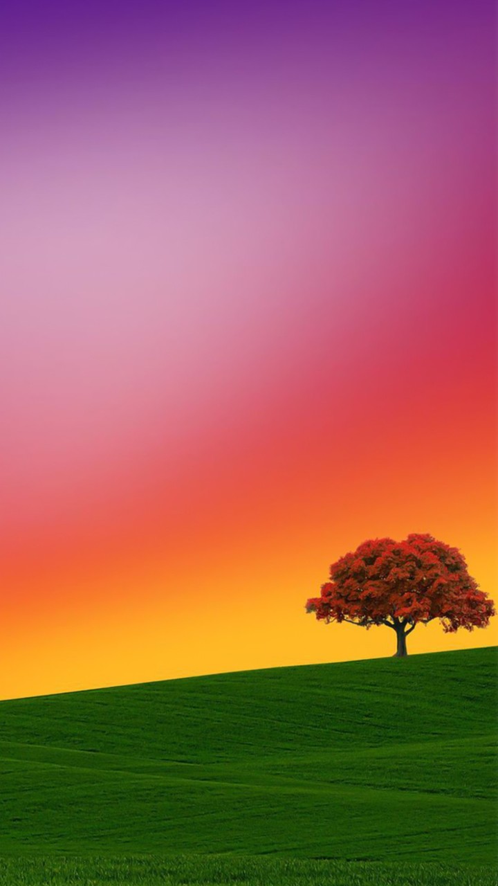 tree