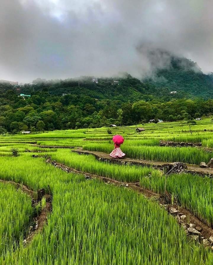 Zakhama Nagaland.