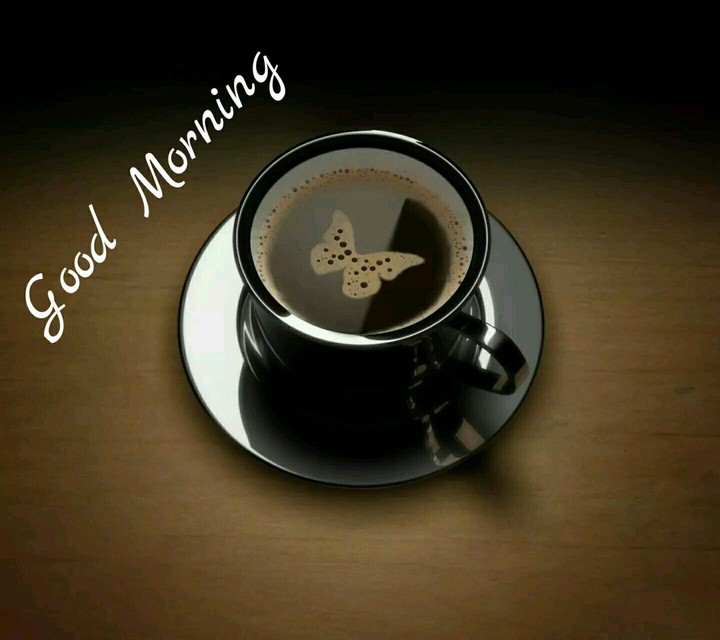 Good Morning