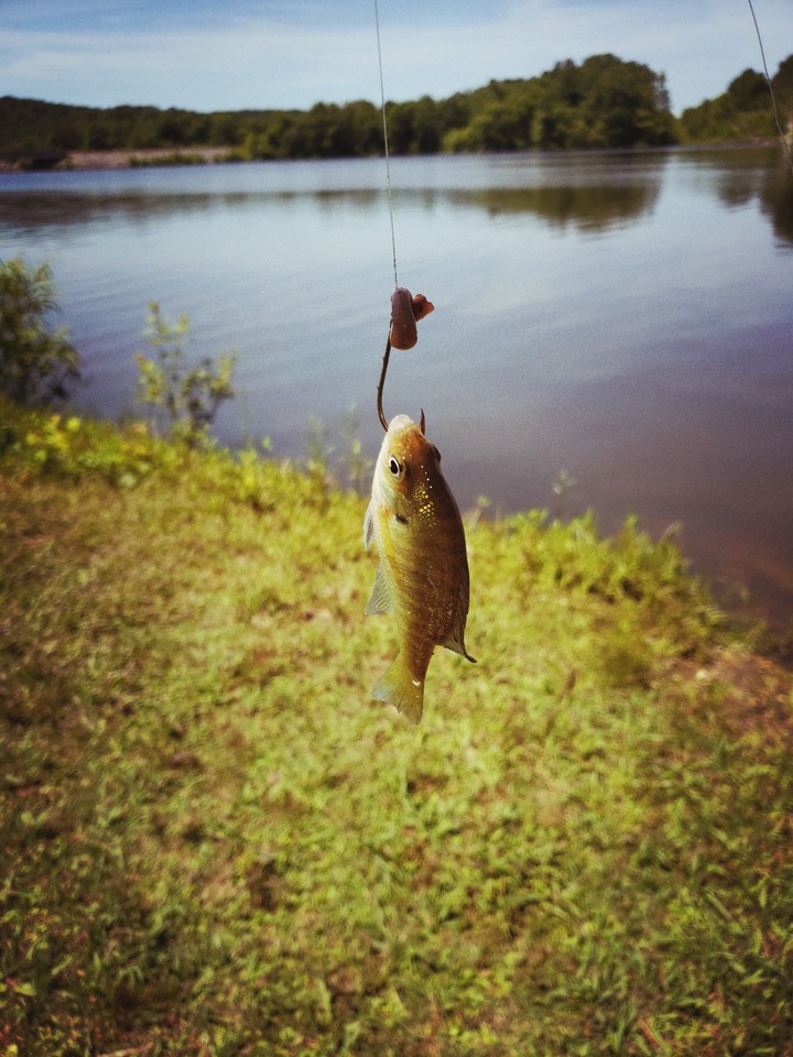 Big Catch