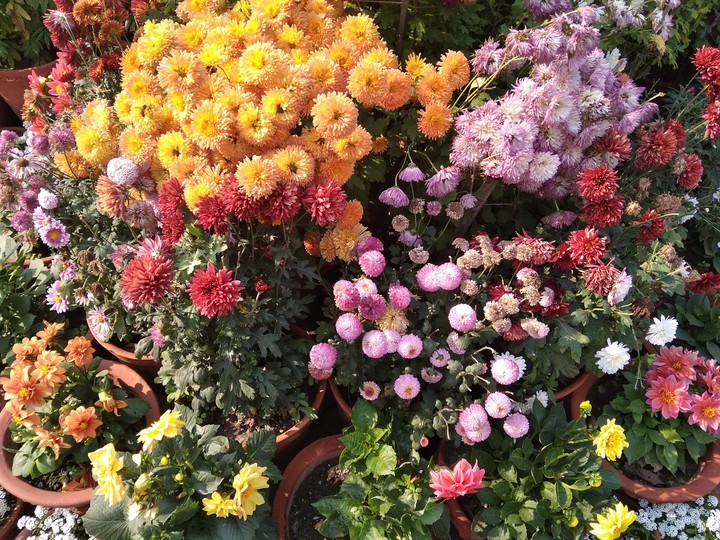 nature ??beauty