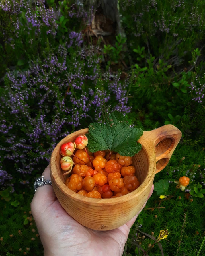 Beautiful and delicious