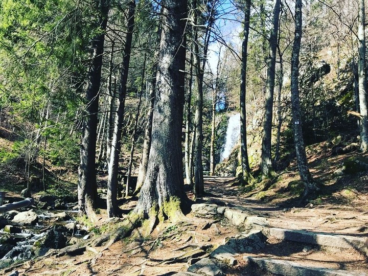 Todtnauberg Blackforest