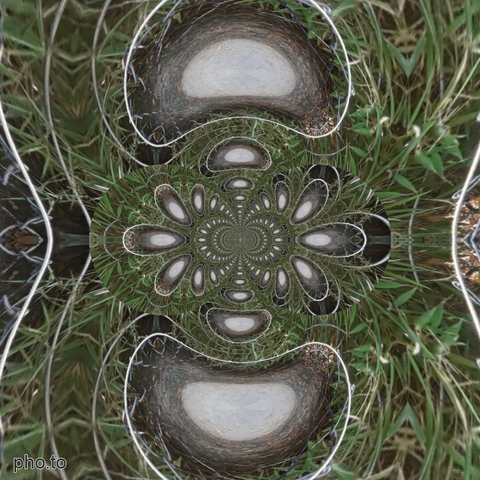 Gras Design