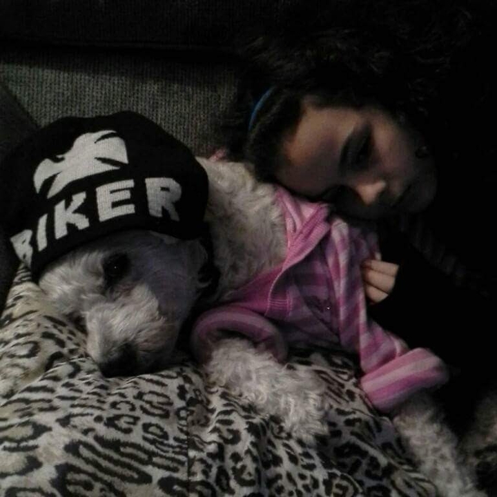 Puppy Love