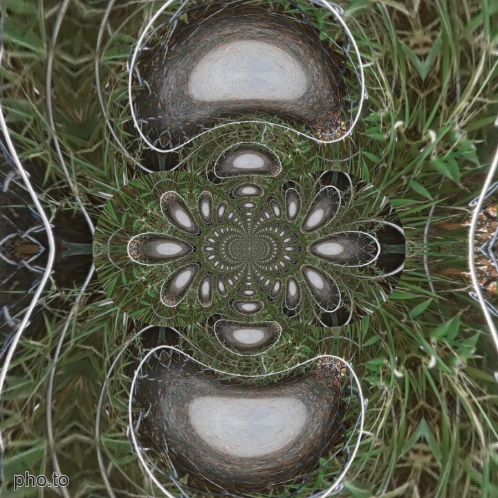 Gras Design