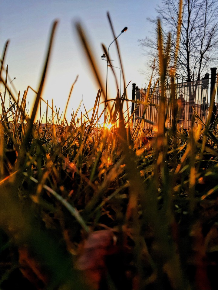 last autumn sun before sunset