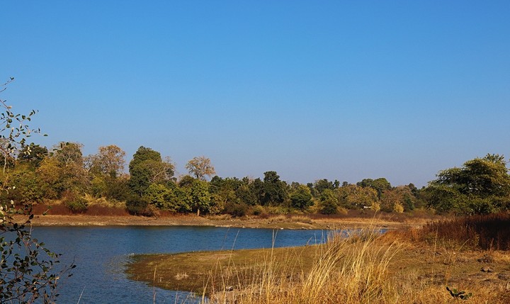 livid calm natural landscape