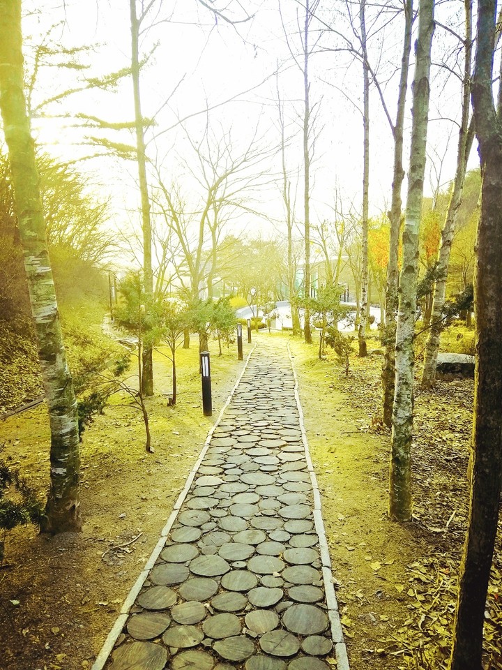 the Green