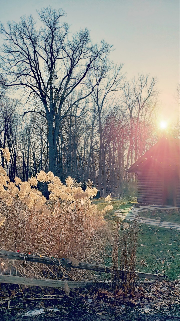 The Last light