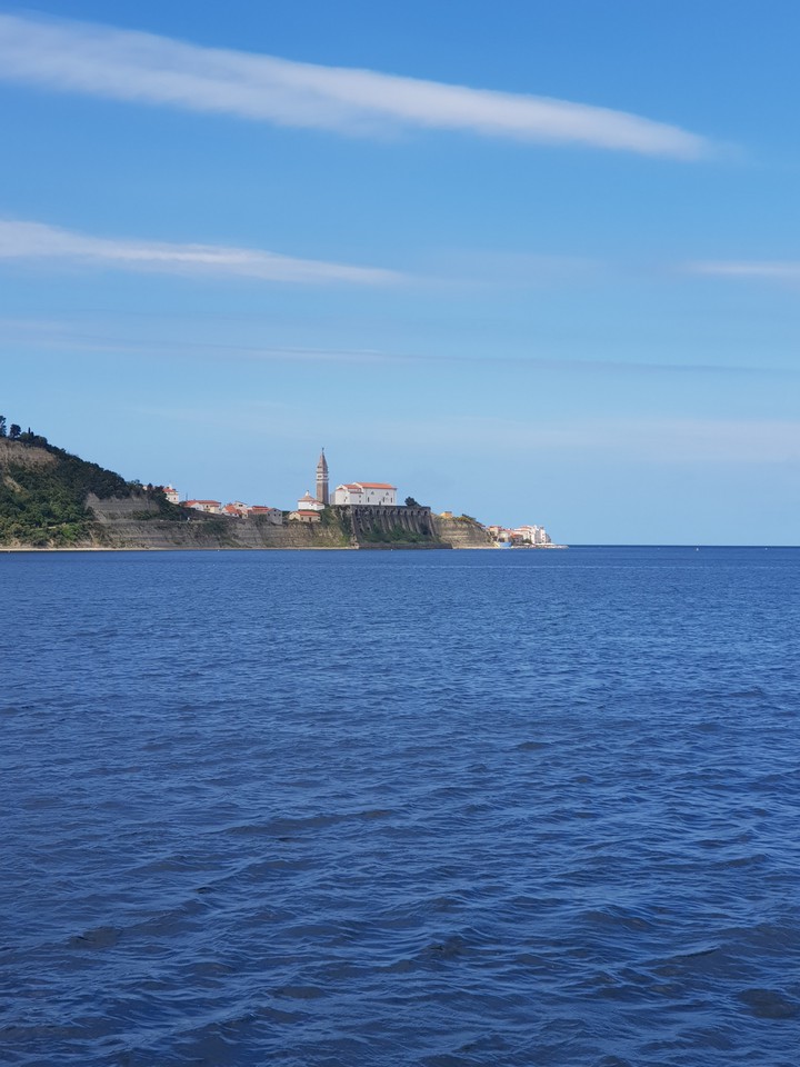Izola