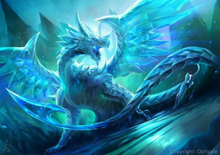 Dragon ᕦ[ ◑ □ ◑ ]ᕤ