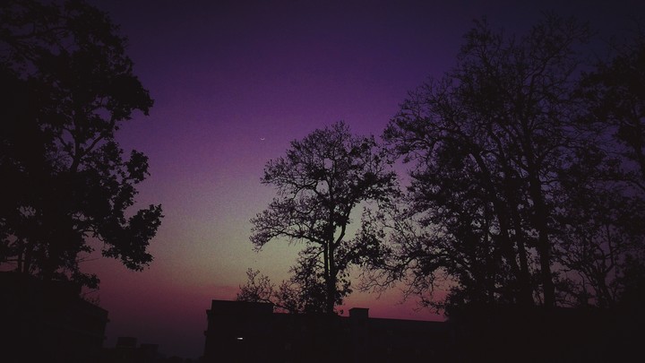 wonderful evening