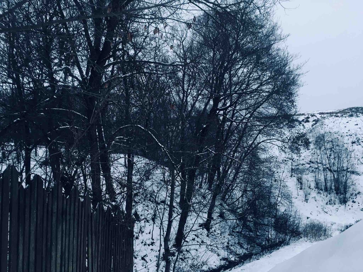 Прогулка по парку