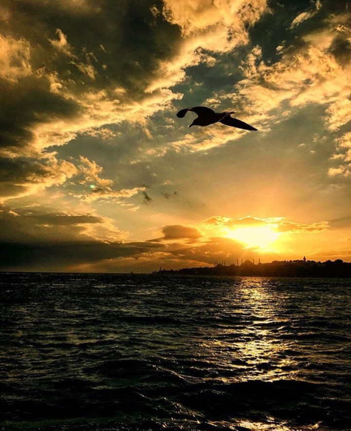 Instagram : kadirgultekiin