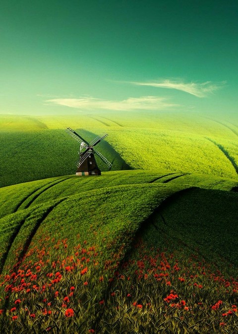 sky, grass háttérképek