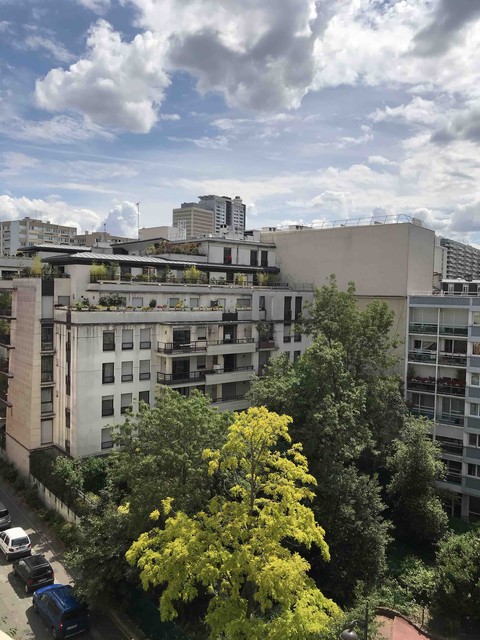 Paris 15 une belle journée