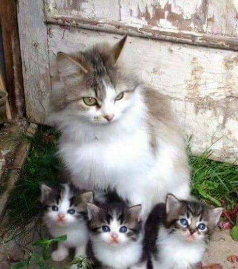 #cute