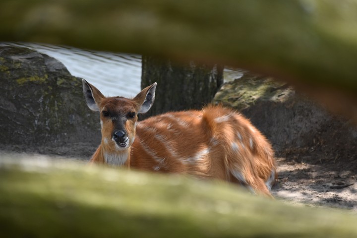 Can you see me...