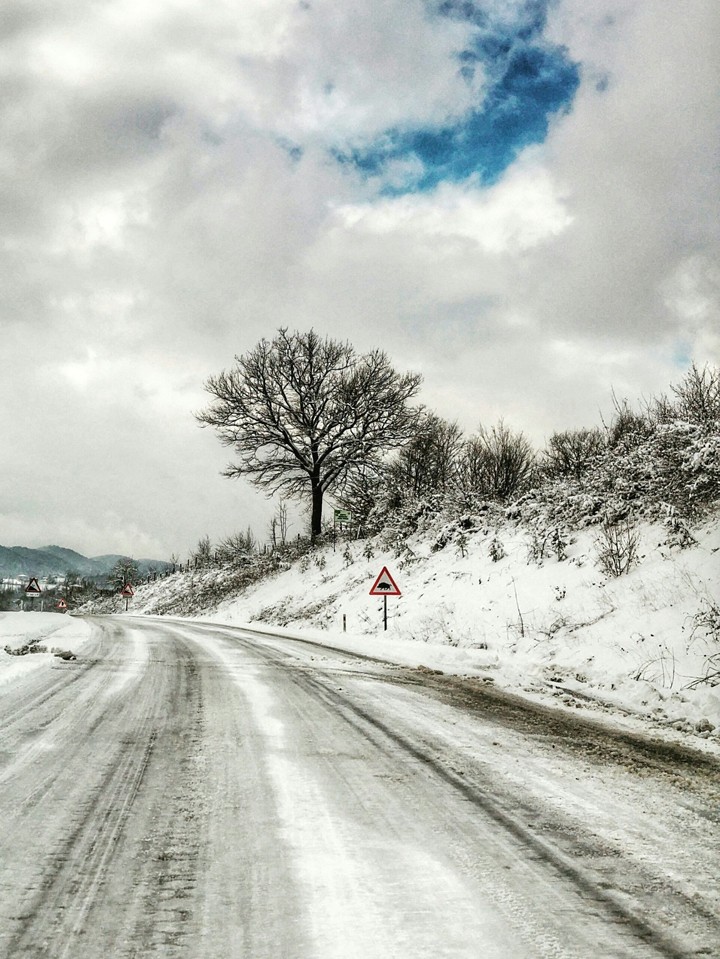 yol