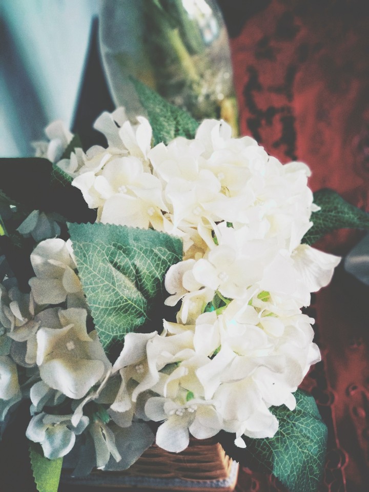 White Flowers