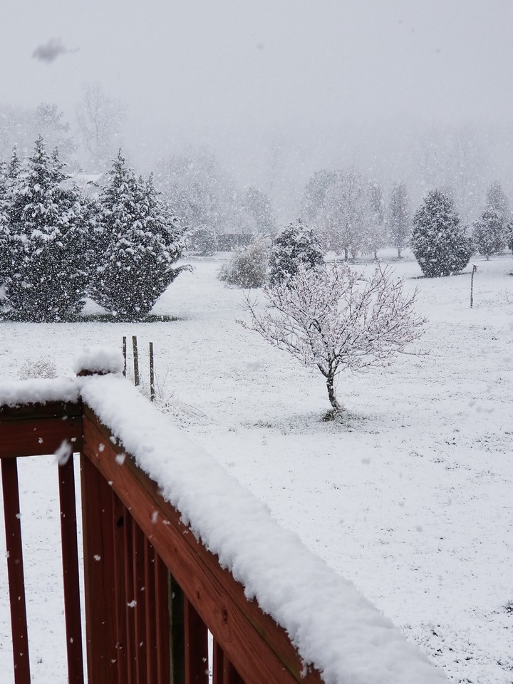 snowy days