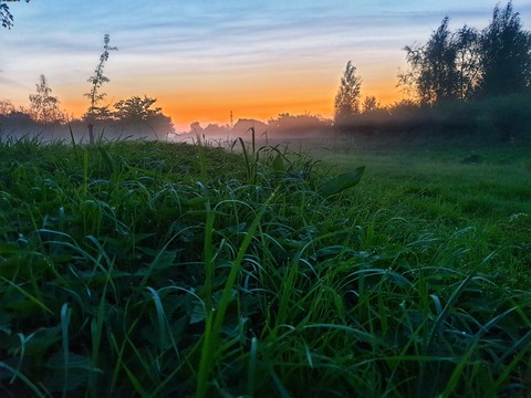 Netherland