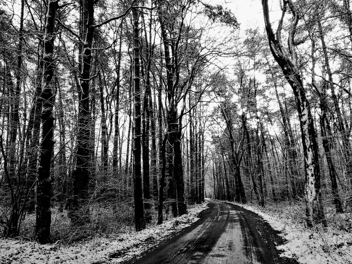 colours of winter