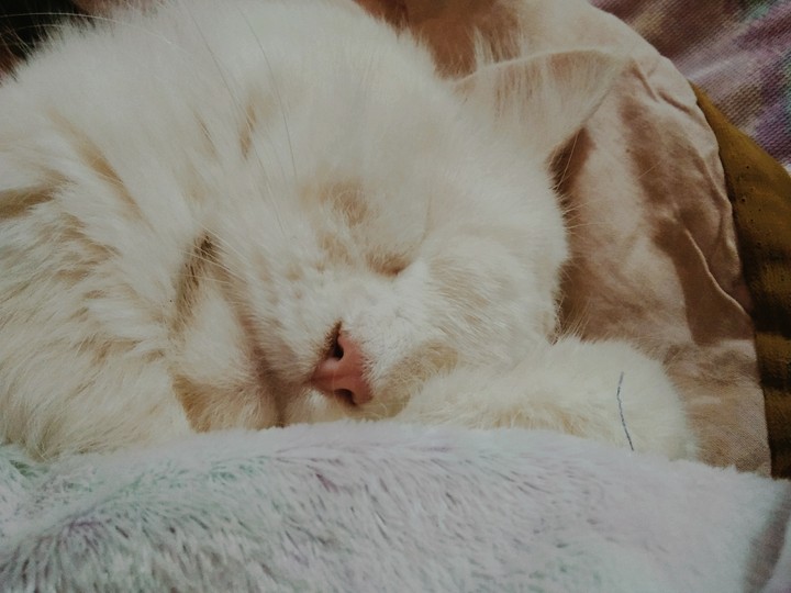 sleep time ?