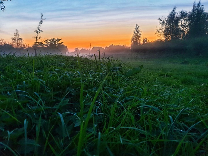 Netherland