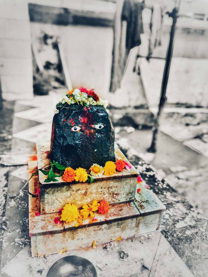 Shiv