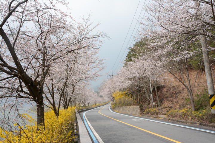 풍경이미지