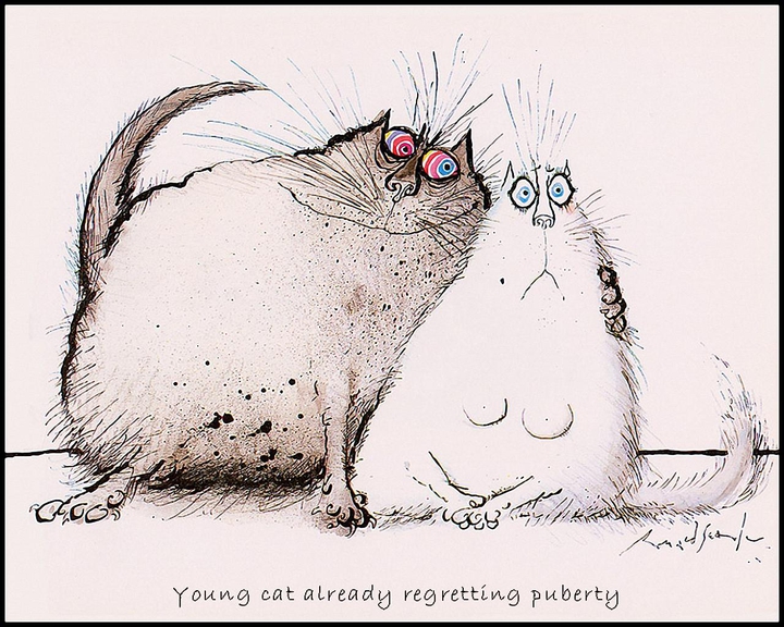 cats