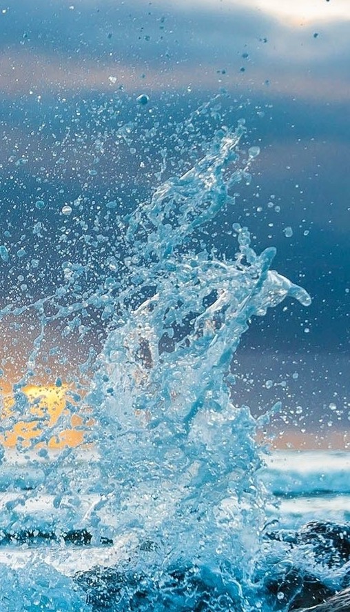 Liveliness of life ...