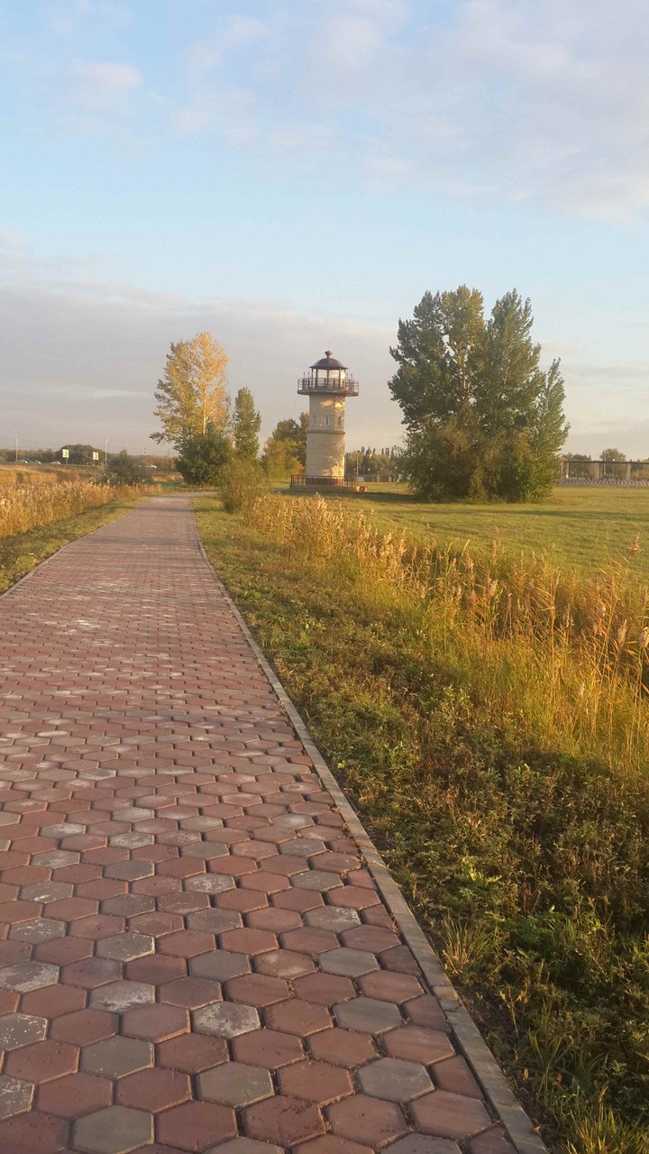 Птичья Гавань