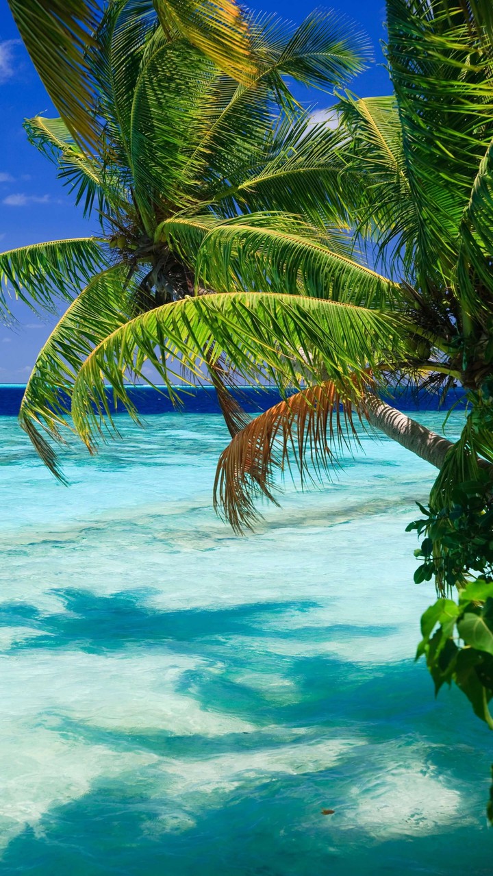 beautiful sea