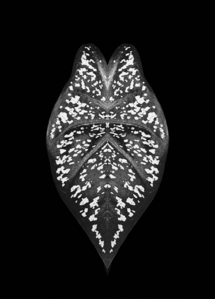 Black and white